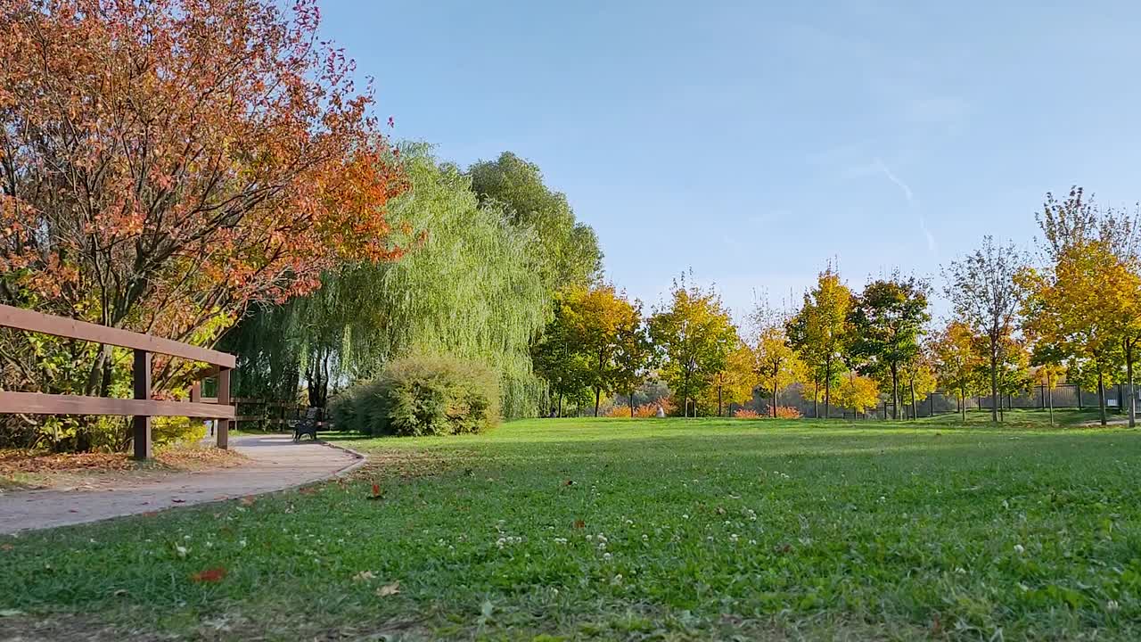 在一个阳光明媚的秋日，城市公园里小路和枝叶繁茂的树木的景色视频下载