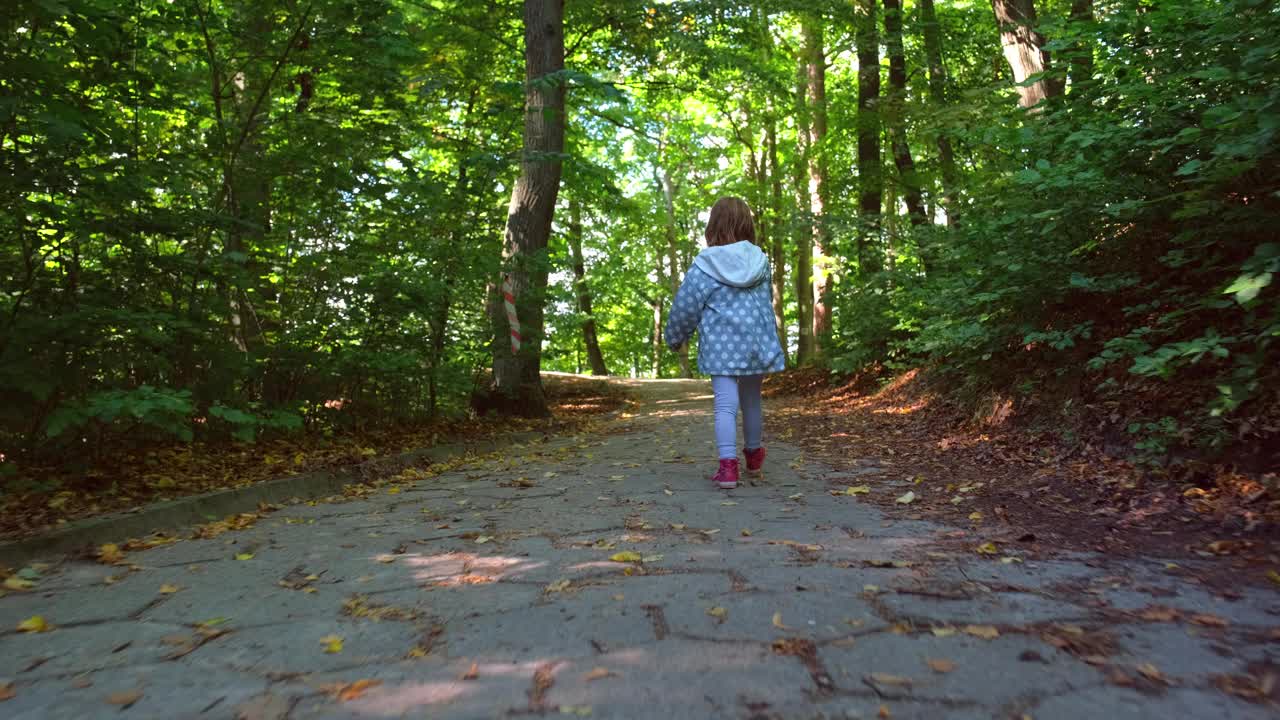 白种人女孩走在绿色的森林与木棒在她的手视频素材