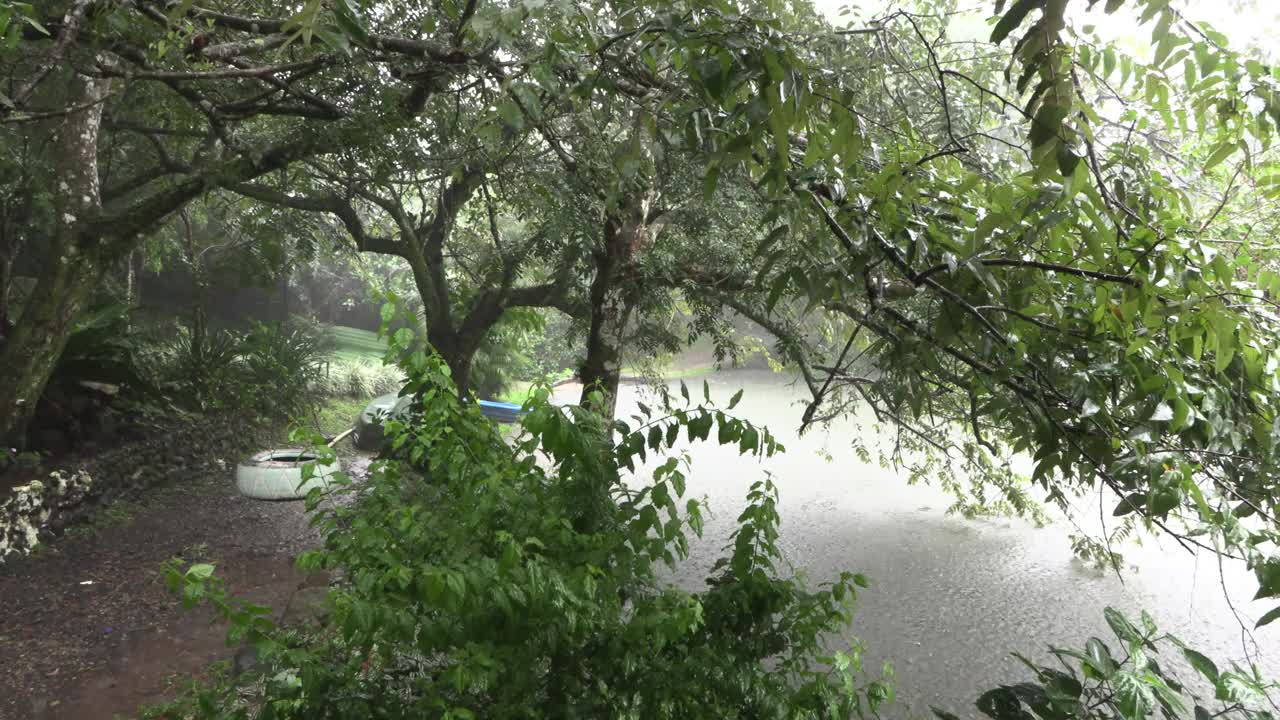 雨和风一起落在湖上和用轮胎做的秋千上。小路和绿叶的树视频下载