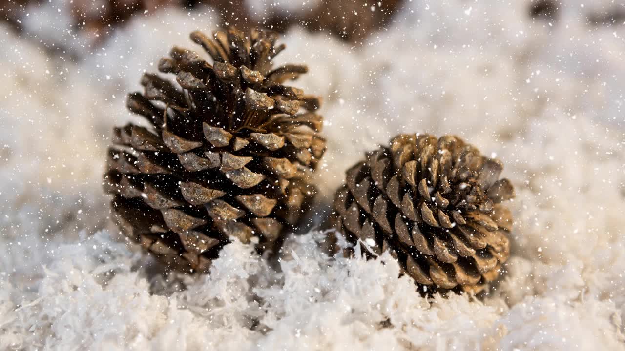 动画的雪落在松果上的雪视频素材