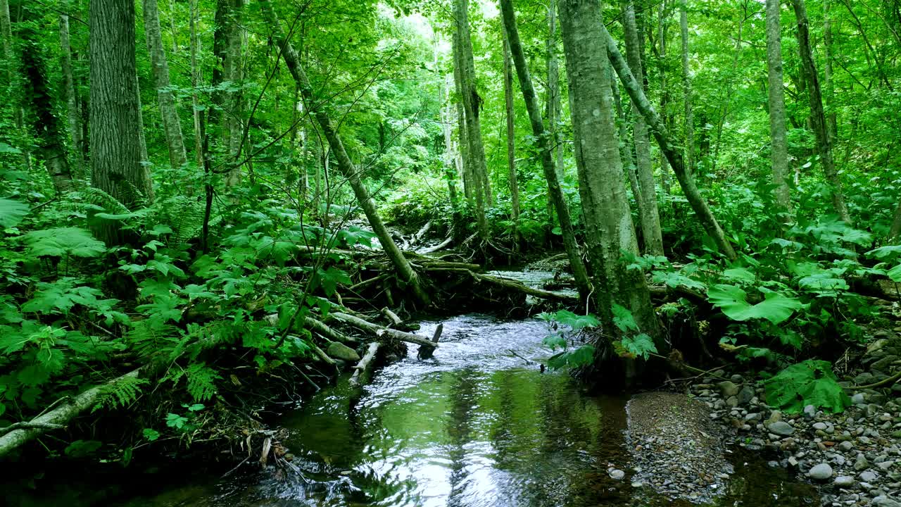 高山流水,日本北海道视频素材