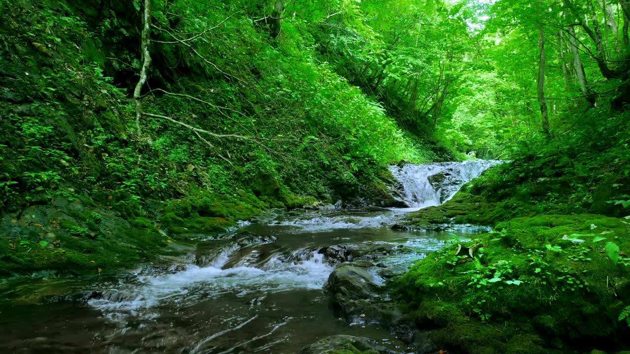 高山流水,日本北海道视频素材