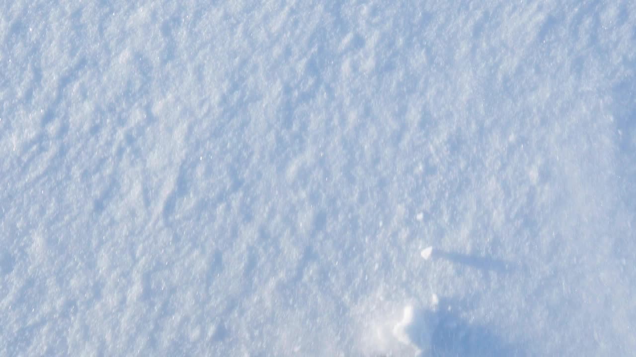 在冬天的雪地上徒步旅行，探险者在新雪上穿靴子。冬季户外活动视频素材