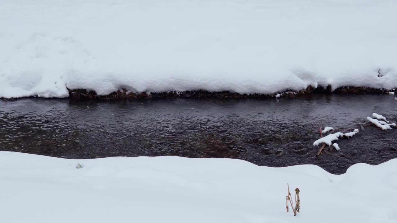 风景与雪树，河流与水在寒冷的傍晚视频素材