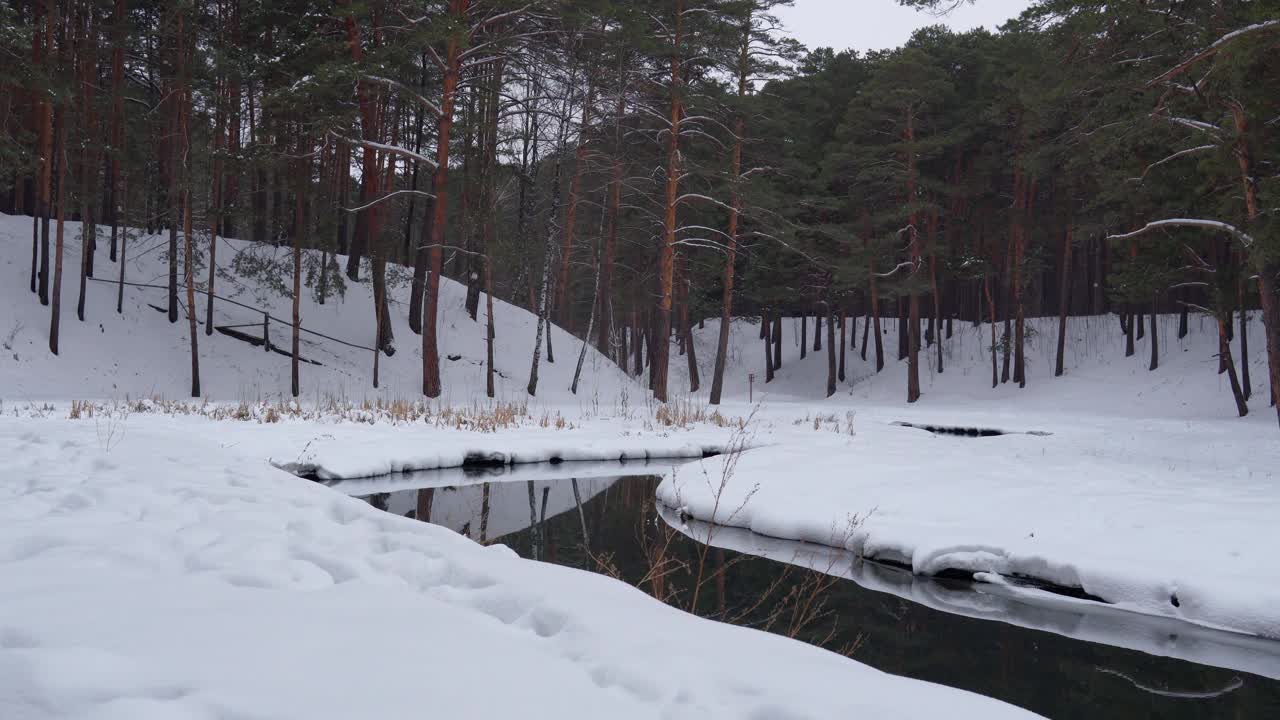 森林河流在冬天。冬季森林河流流动。冬天雪林河流流动。静态摄像头视频素材