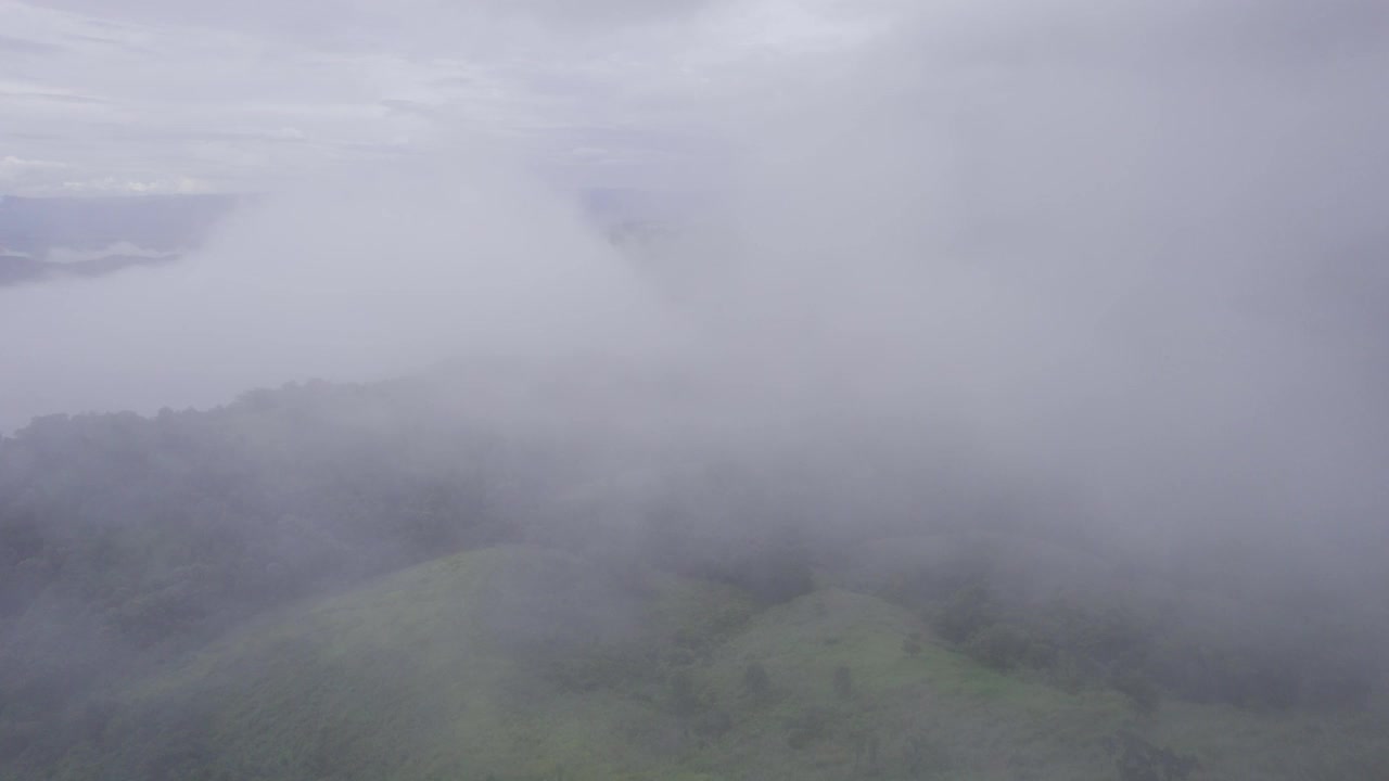 国家公园雨天热带雨林雾山鸟瞰图视频素材