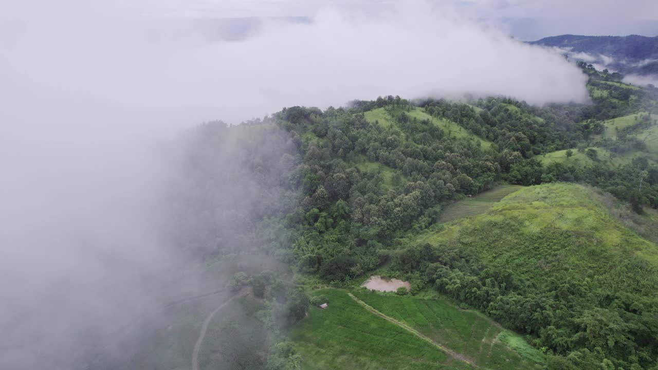 国家公园雨天热带雨林雾山鸟瞰图视频素材