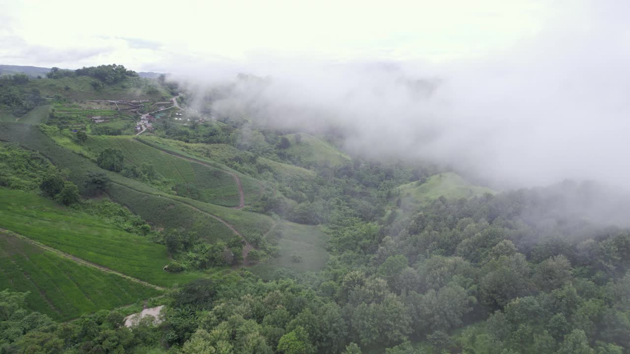 国家公园雨天热带雨林雾山鸟瞰图视频素材