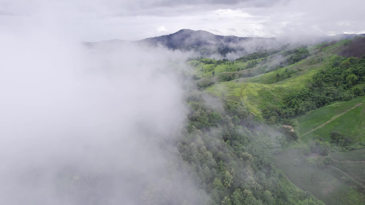 国家公园雨天热带雨林雾山鸟瞰图视频素材