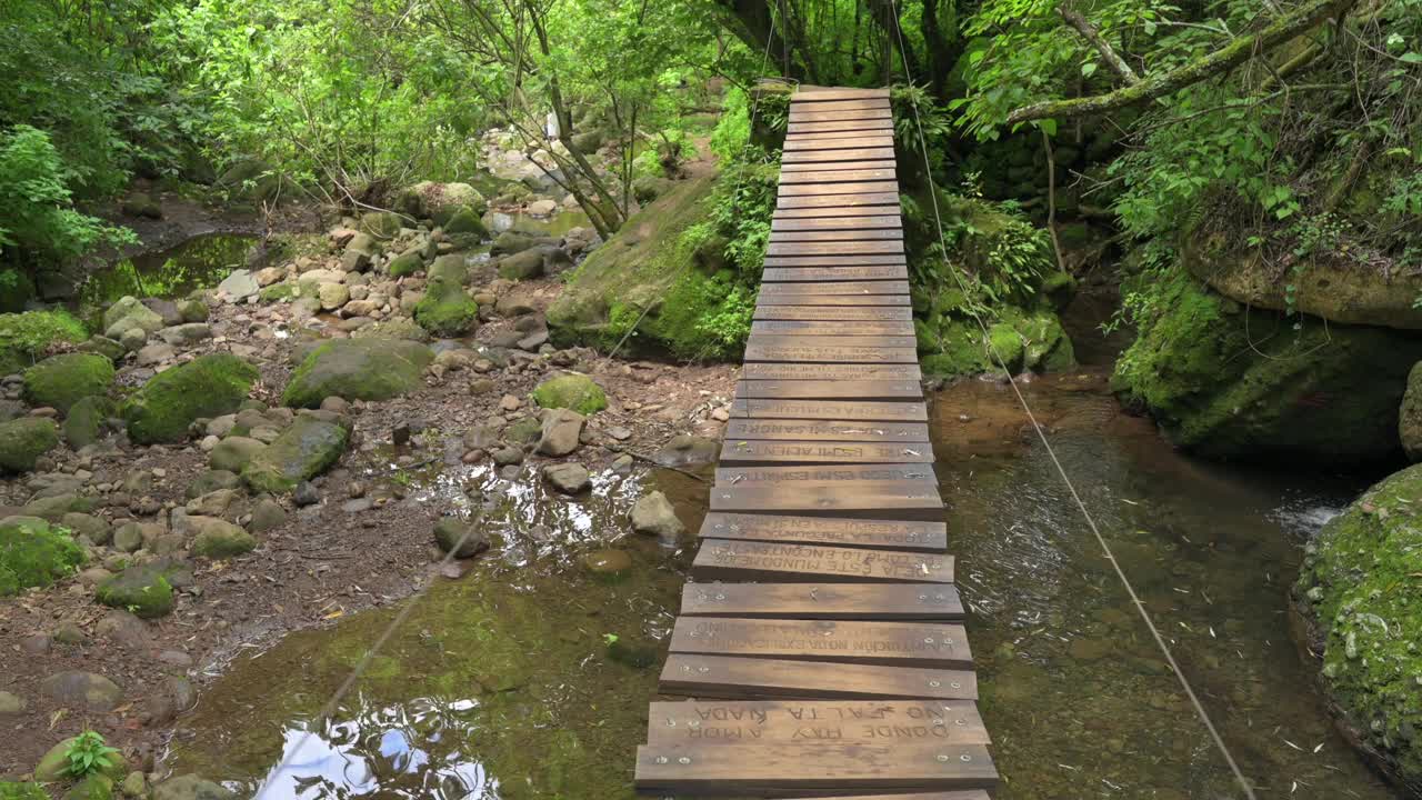 悬索桥，徒步与森林的风景。可持续旅游的概念。在绿色的森林里徒步旅行。徒步旅行的概念。Amatlan、墨西哥视频素材