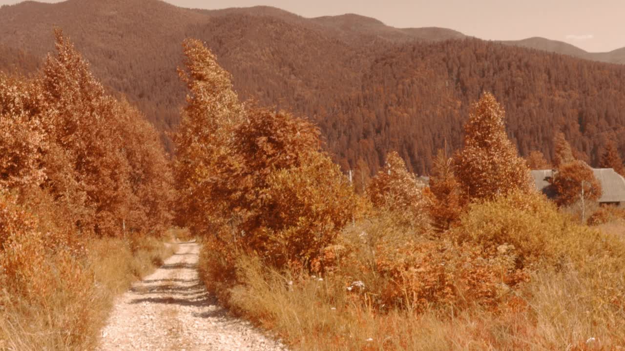 秋天山上的土路视频素材