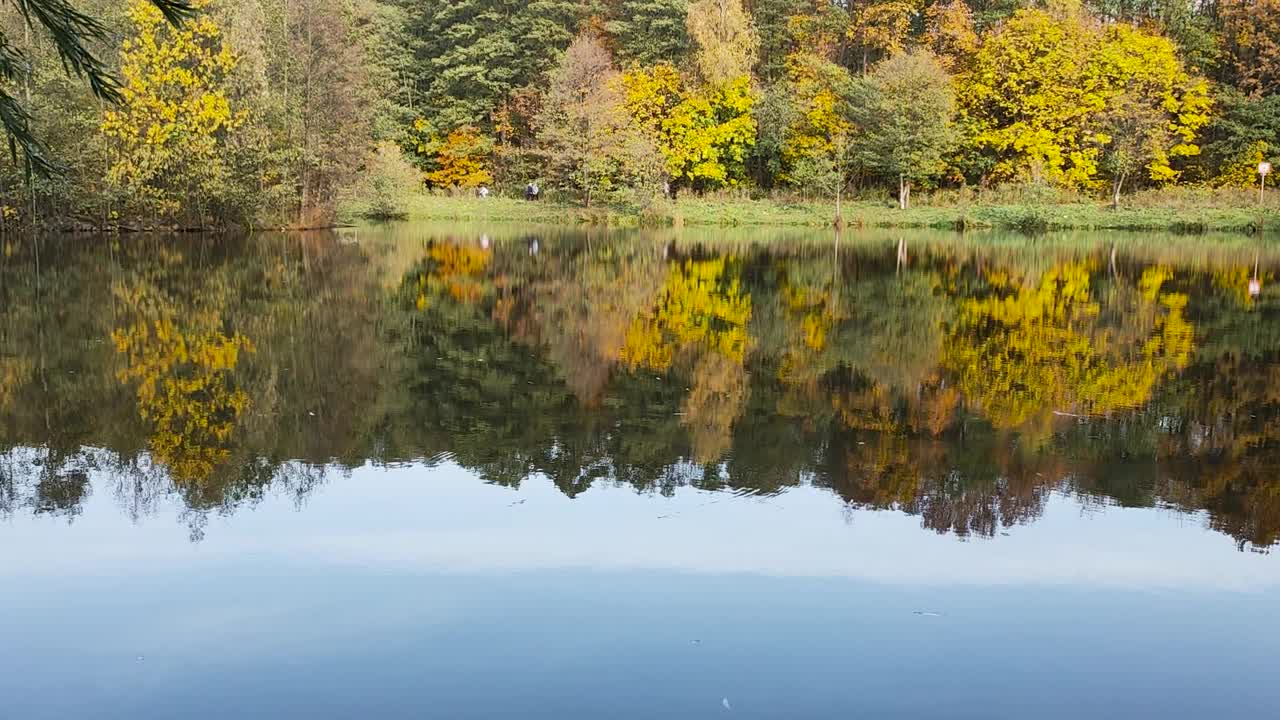 秋天的风景与湖的景色，反映了多彩的明亮的树木在城市自然公园视频素材