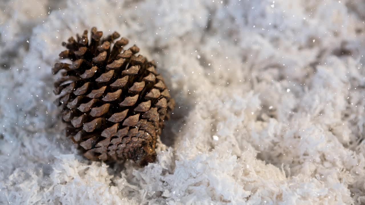 动画的雪落在松果视频素材