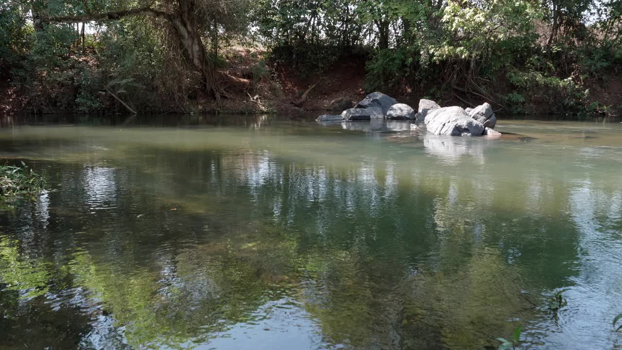 巴西João莱特河的河流和河岸视频素材