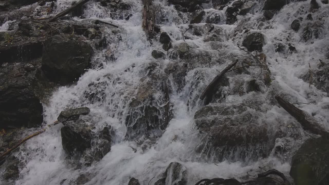 加拿大热带雨林中的壮观瀑布。新娘面纱瀑布省级公园视频素材