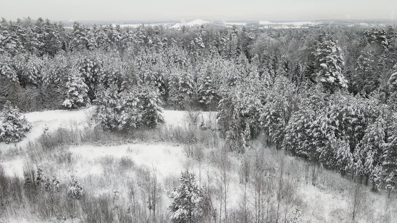 圣诞节冬季森林完全被雪覆盖，鸟瞰。视频素材