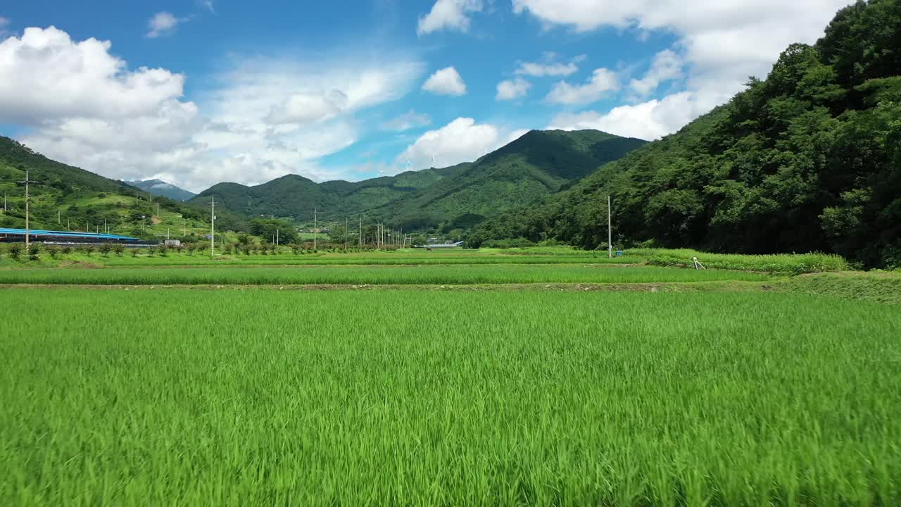 田野和稻田的景色/韩国全罗南道华顺郡视频素材