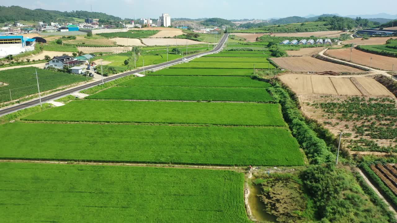 村庄周围的田野和稻田/韩国全罗南道珍岛郡视频素材