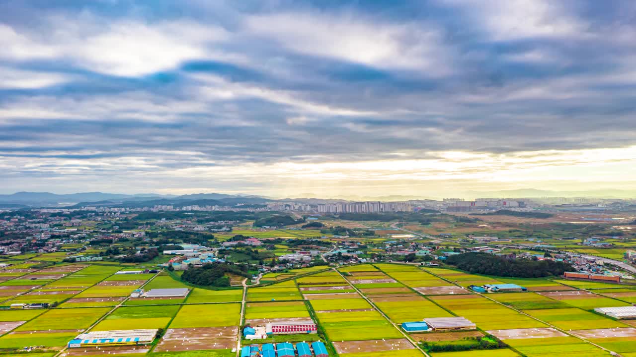 田野和稻田的市中心风景/韩国京畿道平泽市视频素材