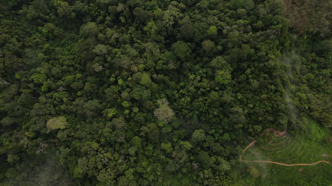 山路鸟瞰图视频素材