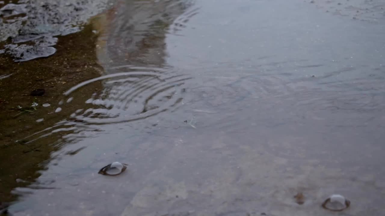 水坑上的雨滴形成了看起来很吸引人的小气泡视频素材