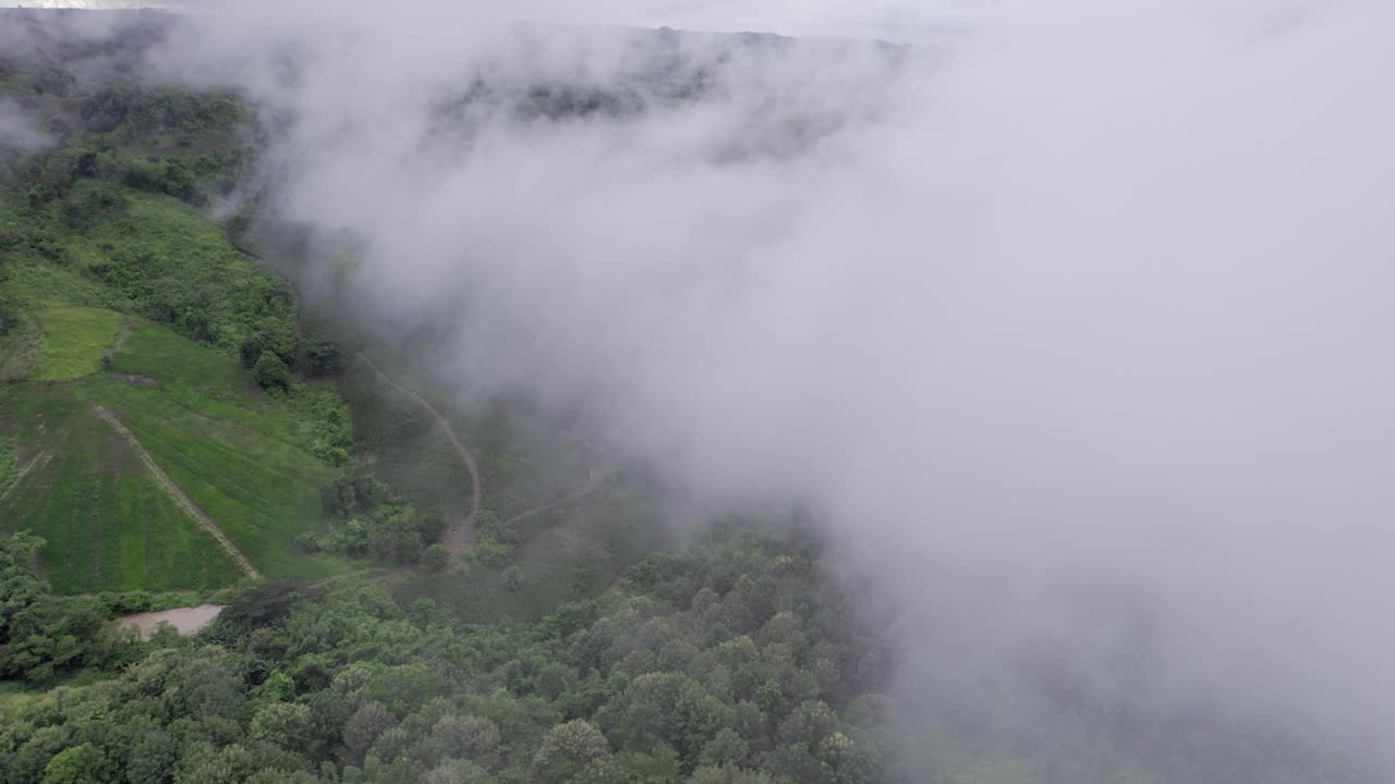 国家公园雨天热带雨林雾山鸟瞰图视频素材