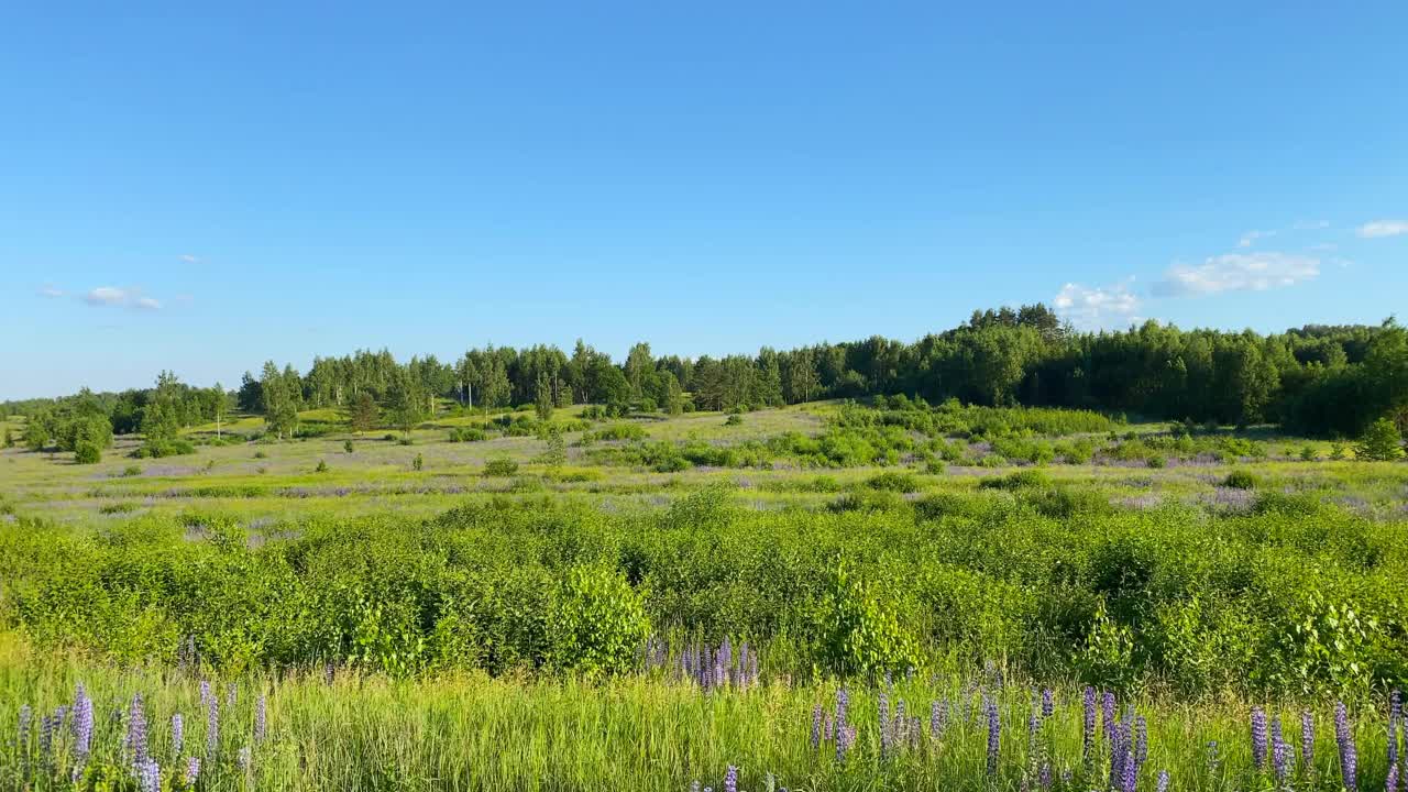 乡村风景，田野，草地，都是用固定摄像机拍摄的视频素材