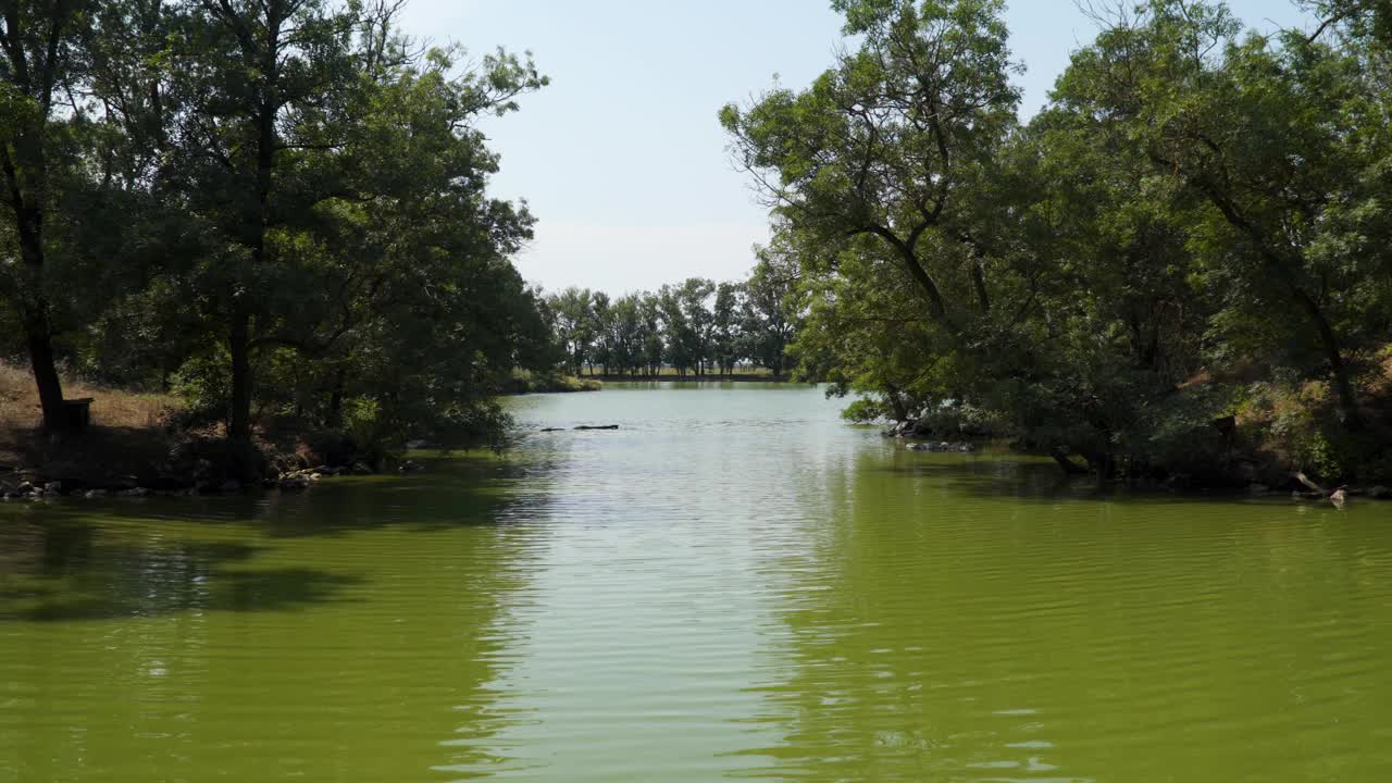 阳光明媚的夏日里，这片风景如画的水域视频素材