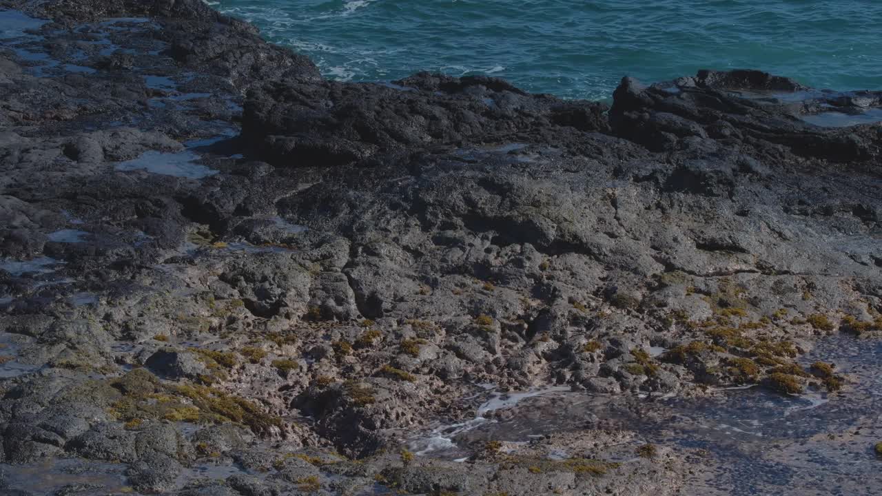 夏威夷考艾岛的喷水孔视频素材