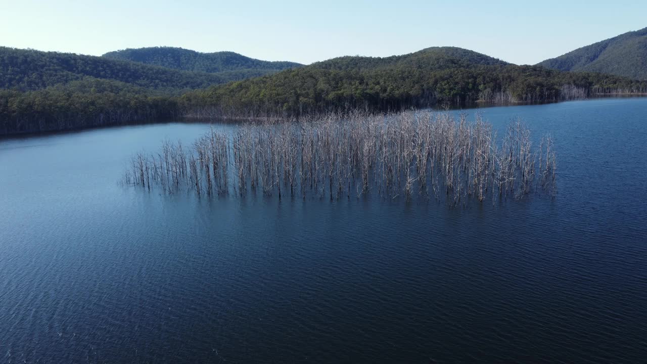 被淹没的森林和山脉包围的大坝视频素材