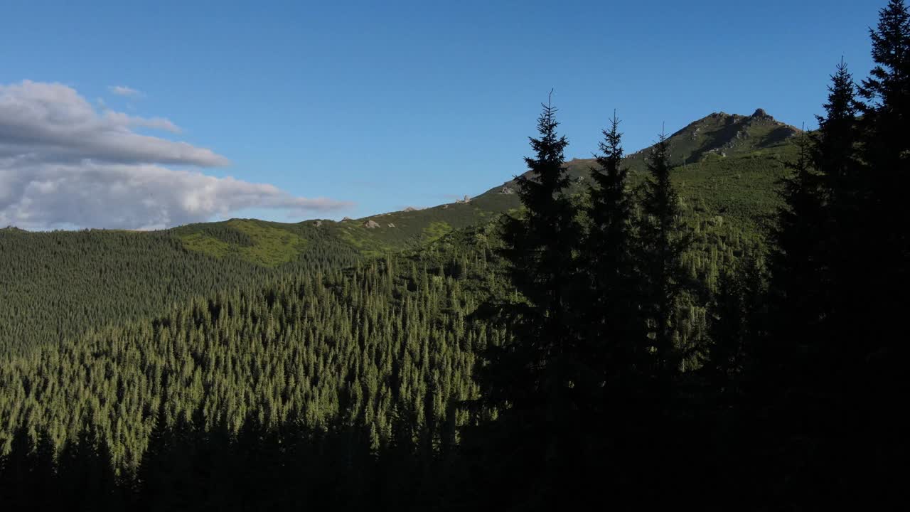 在阳光明媚的日子，无人机拍摄的夏季或秋季壮丽的山脉景观与美丽的常绿松树。树木山峰林立，原生态的自然保护区，自然背景视频素材