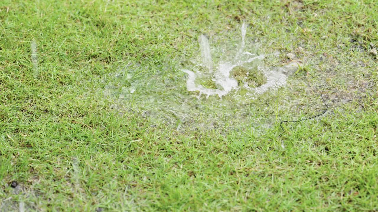 屋前的绿色草坪上下起了暴雨视频素材