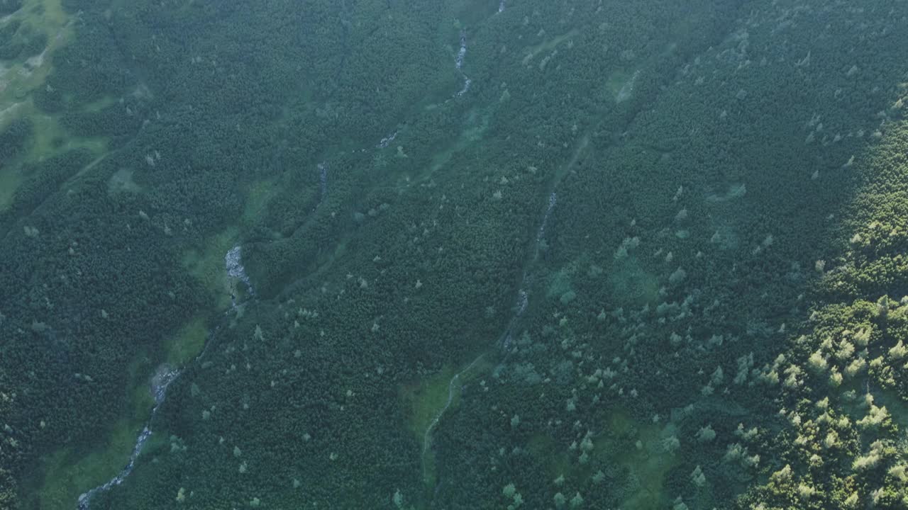 俯视图的山水溪流或河流，林地航拍。无人机飞过松树和绿色的树梢，色彩斑斓的纹理在大自然中呈现。飞越森林，自然背景在移动视频素材