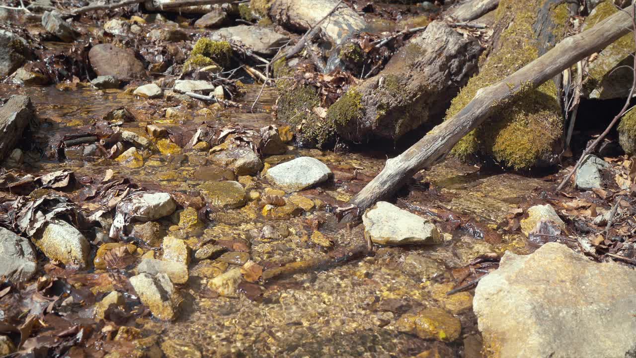 一个徒步靴穿过山涧的4K特写镜头。徒步旅行或徒步旅行的人的概念视频。视频素材