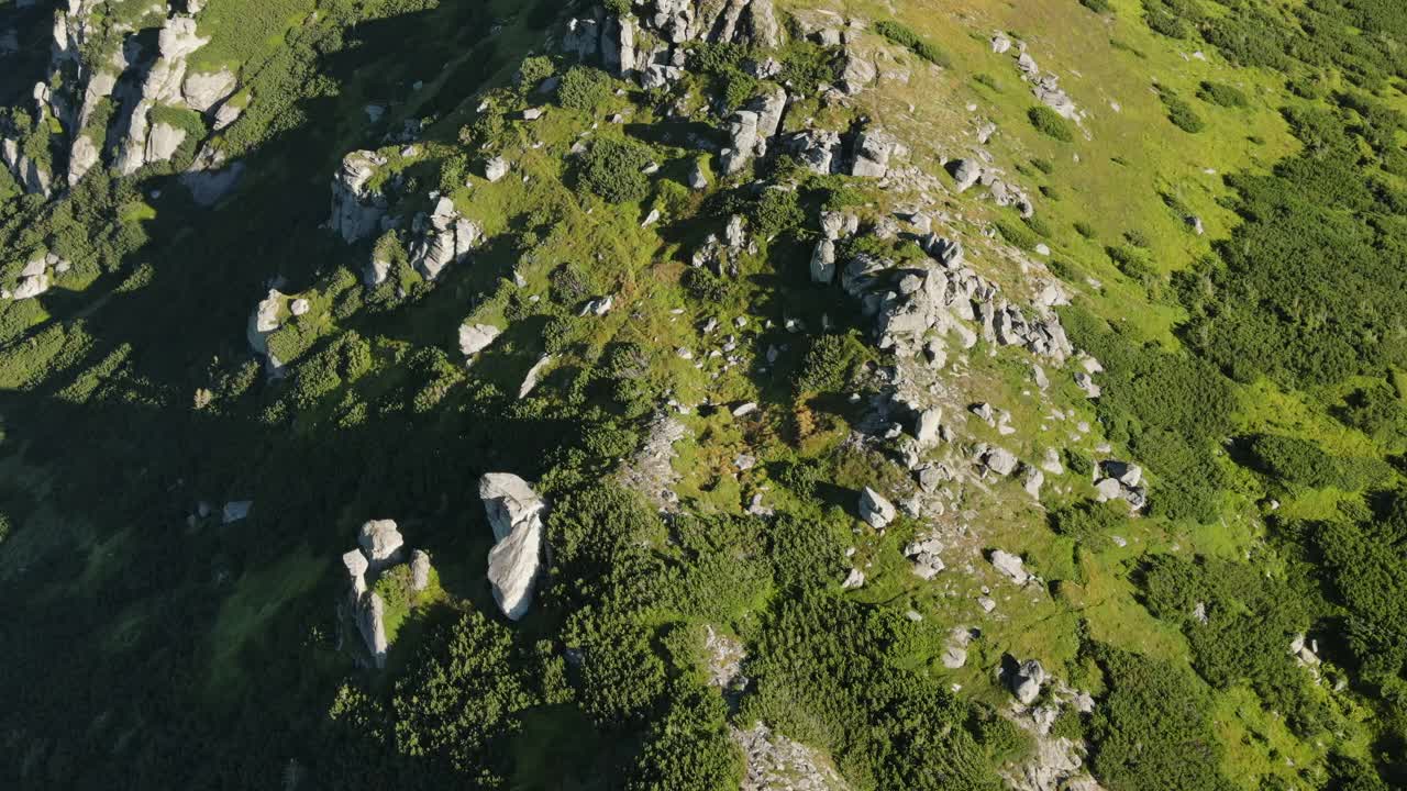 无人机拍摄的史诗和鼓舞人心的景观，高喀尔巴阡山脉在日落或黄昏与美丽的阳光，大石头，绿色松树林，迷人和敬畏的自然视频素材