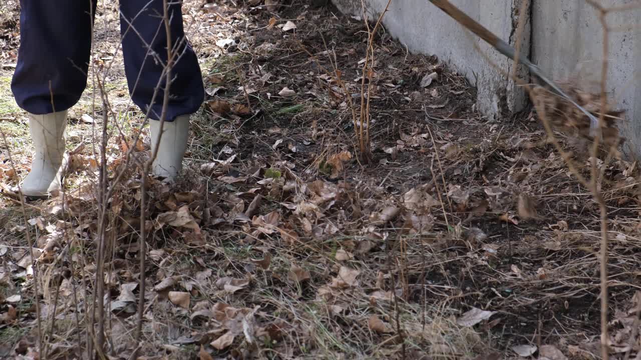 花园的春季大扫除。斜干树叶。视频素材