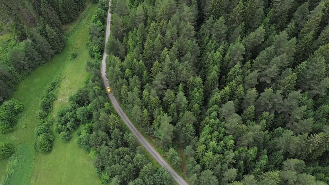 穿越森林的公路旅行视频素材