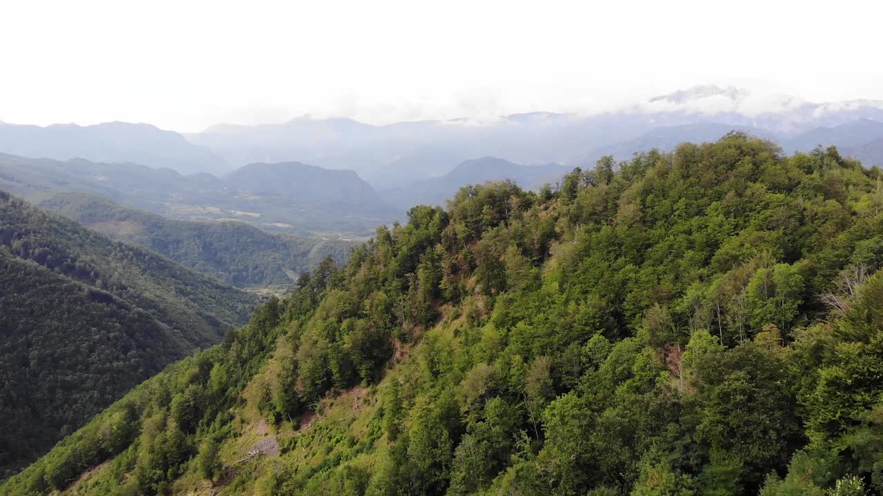 山的风景。俯视图的绿色森林，舒缓的自然景色。视频素材