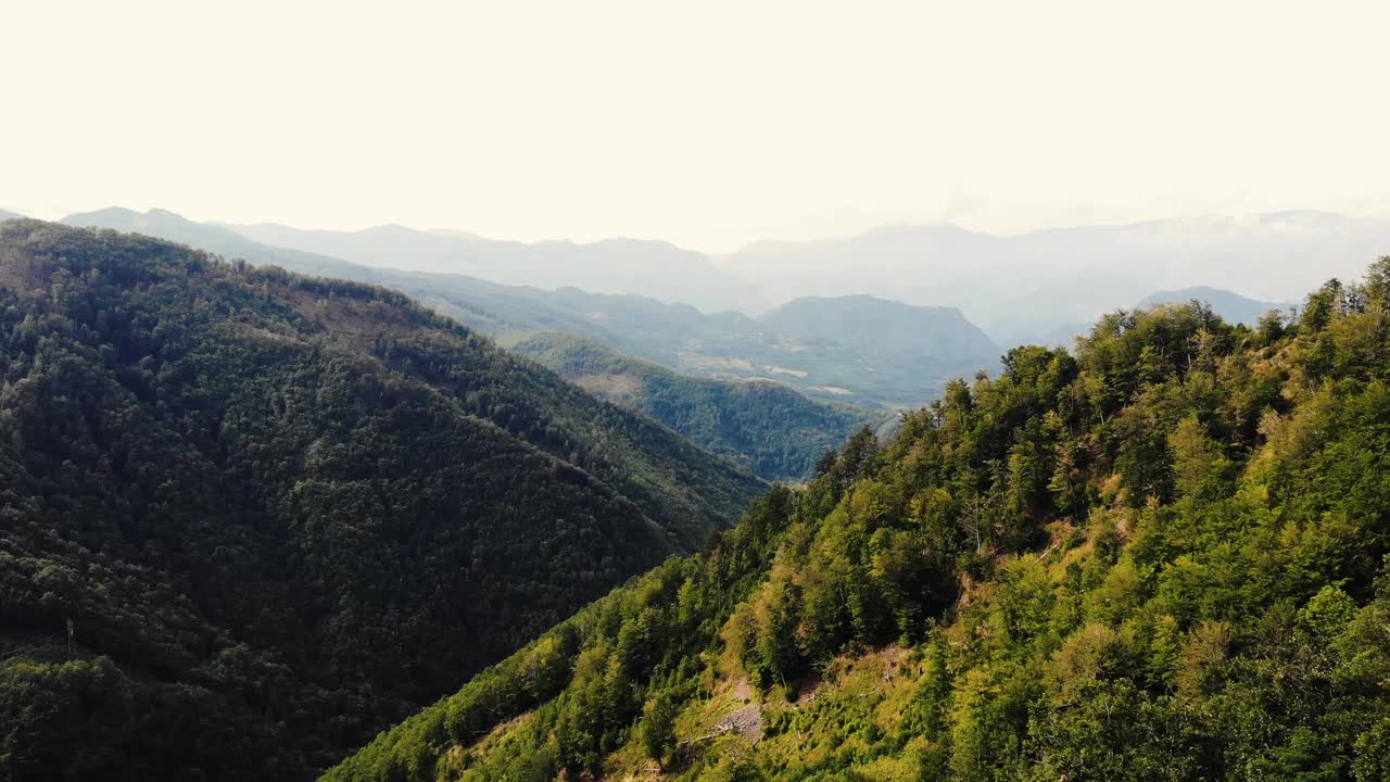 山的风景。俯视图的绿色森林，舒缓的自然景色。视频素材