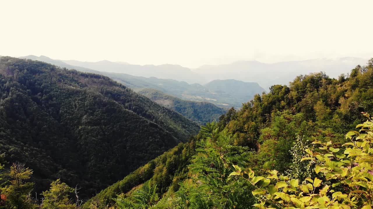 山的风景。俯视图的绿色森林，舒缓的自然景色。视频素材