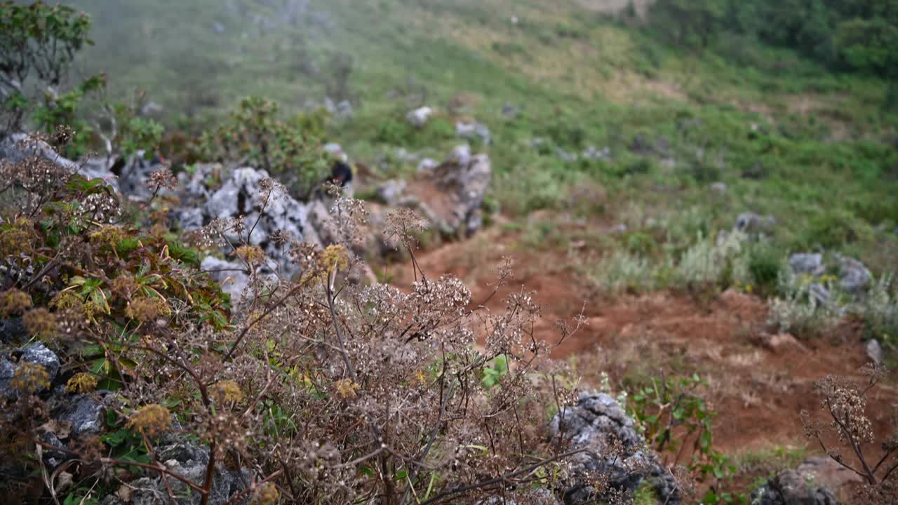 一个登山运动员在薄雾中登山视频素材