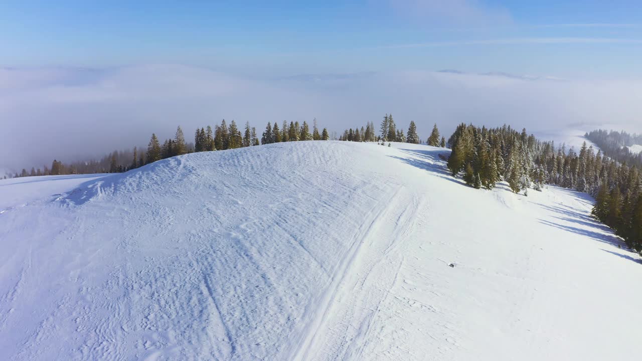 郁郁葱葱的圣诞树和白雪覆盖的山坡上有一个滑雪的地方视频素材