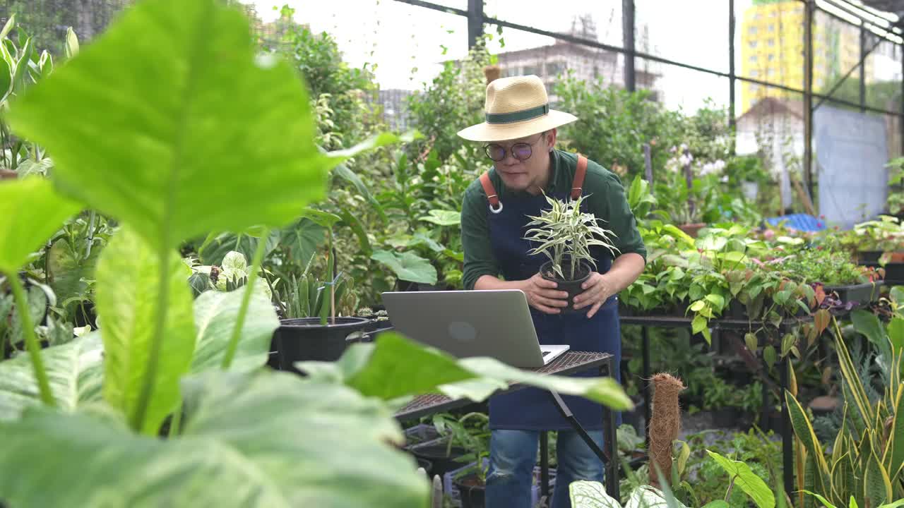 4K亚洲男人园艺植物商店店主用笔记本电脑在网上商店做广告视频素材