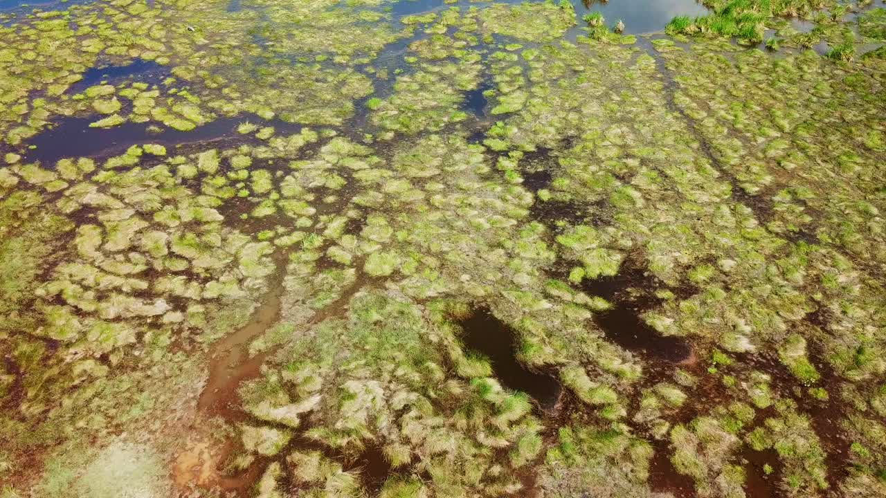 鸟瞰湿地草甸视频素材