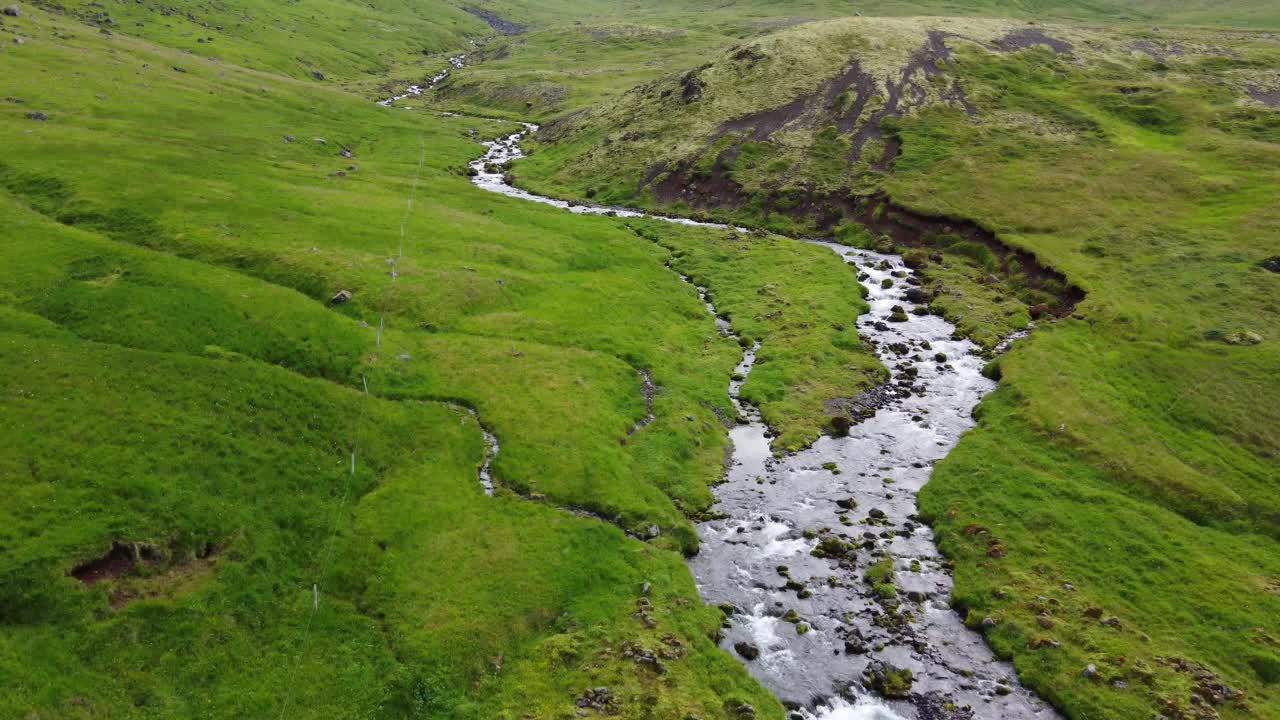 狂野的山溪在绿色的草地上摇曳视频素材