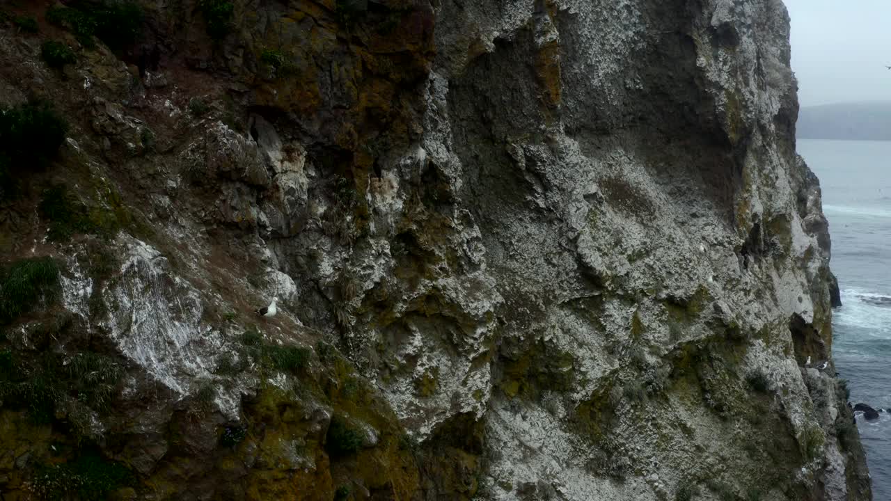 堪察加半岛，多云天气的岩石海岸视频素材