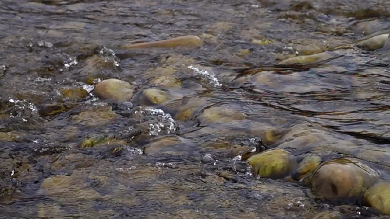 山上的河流，缓慢的运动视频素材