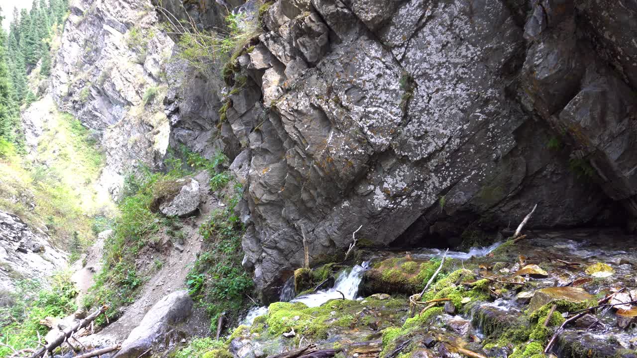 瀑布飞溅的水花落在岩石和圆木上视频素材