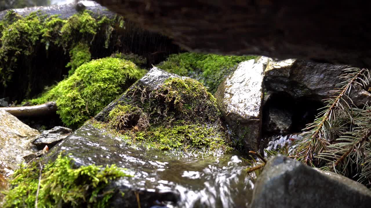 瀑布飞溅的水花落在岩石和圆木上视频素材