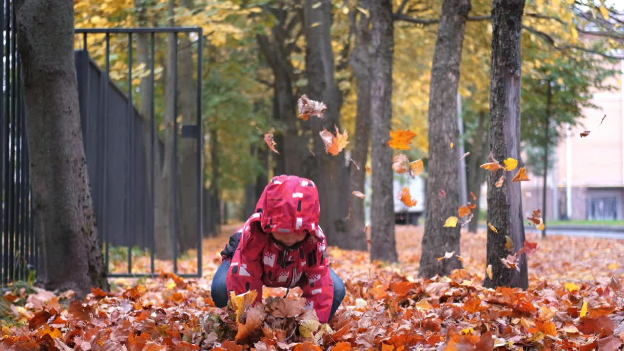 小男孩在公园里玩秋天的落叶。孩子笑着扬起金黄色的枫叶视频素材